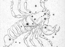 scorpione