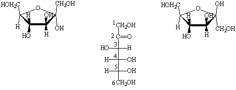 figura4